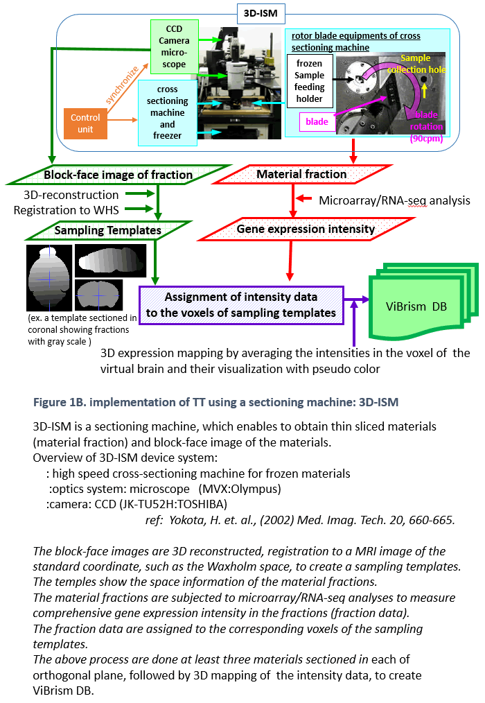 Figure 1B. implementation of TT using a sectioning machine: 3D-ISM