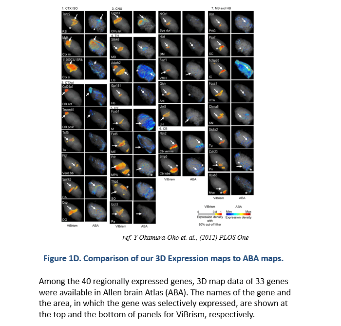 Figure 1D. Comparison of our 3D Expression maps to ABA maps